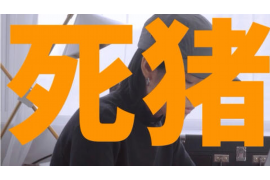 弋江债务清欠服务